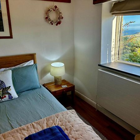 Polrunny Farm Seaberry Cottage With A Sea View And Log Burner Боскасл Экстерьер фото