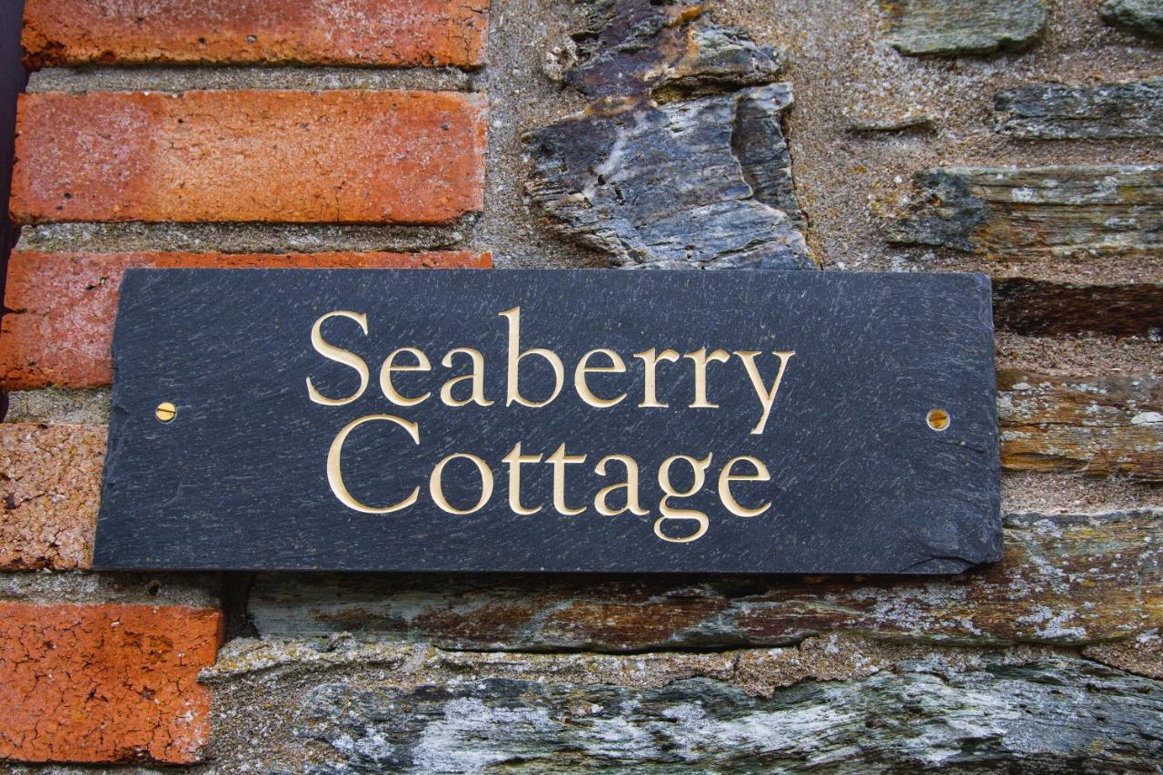 Polrunny Farm Seaberry Cottage With A Sea View And Log Burner Боскасл Экстерьер фото