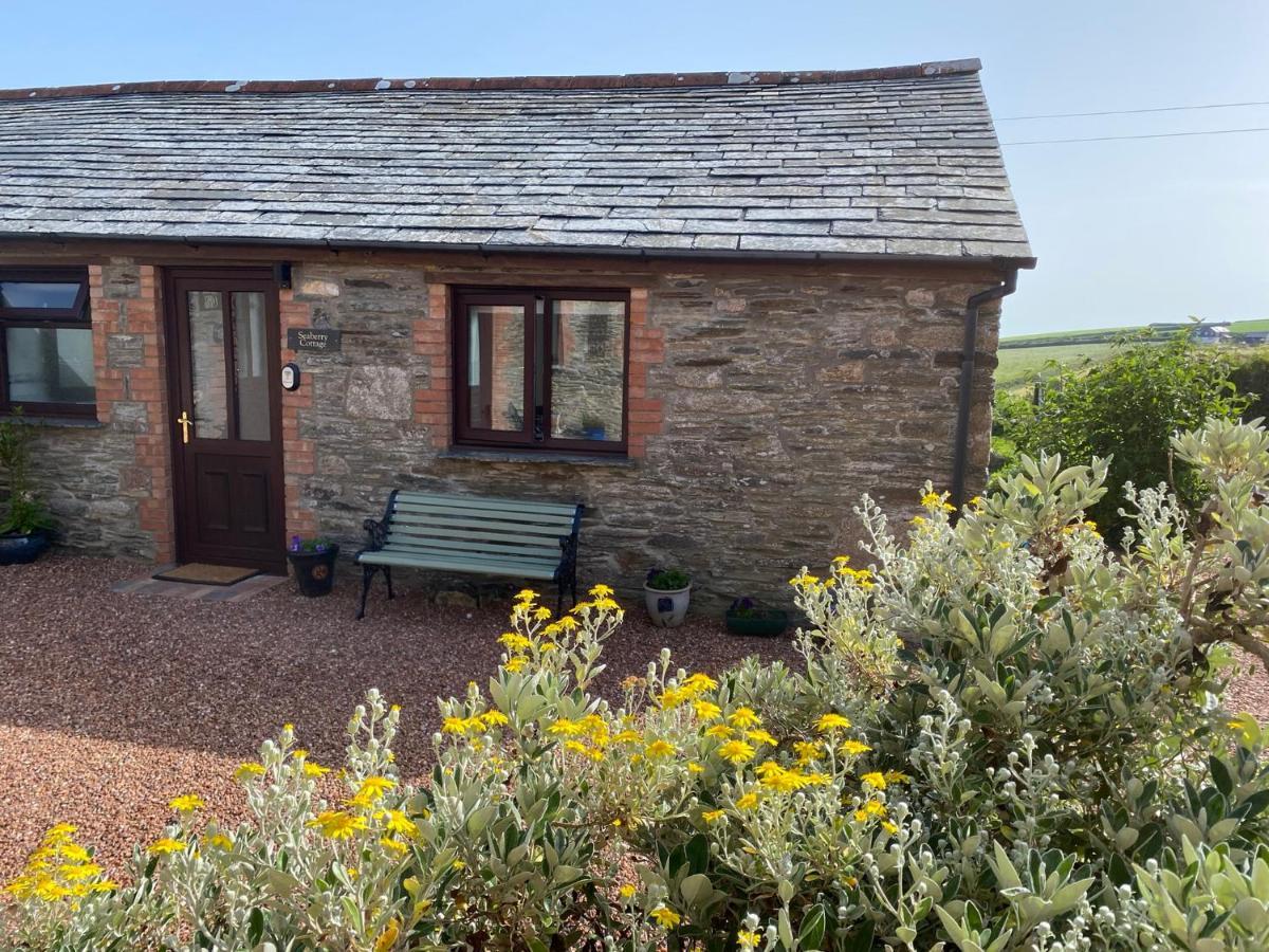 Polrunny Farm Seaberry Cottage With A Sea View And Log Burner Боскасл Экстерьер фото